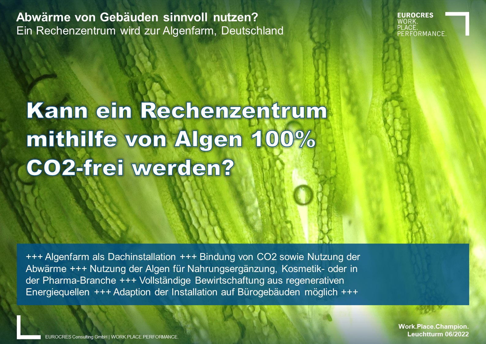 Kann ein Rechenzentrum mithilfe von Algen 100% CO2-frei werden?